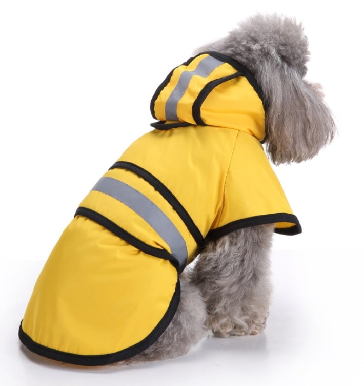 Dog vest